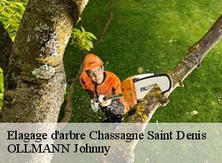 Elagage d'arbre  chassagne-saint-denis-25290 OLLMANN Johnny 