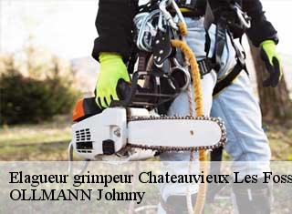 Elagueur grimpeur  chateauvieux-les-fosses-25840 OLLMANN Johnny 