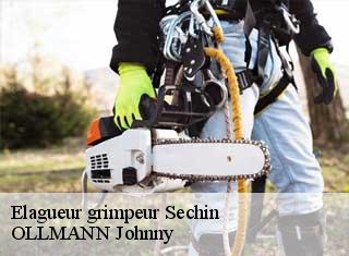 Elagueur grimpeur  sechin-25110 OLLMANN Johnny 