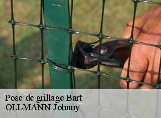 Pose de grillage  bart-25420 OLLMANN Johnny 