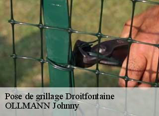 Pose de grillage  droitfontaine-25380 OLLMANN Johnny 