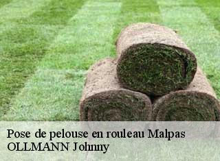 Pose de pelouse en rouleau  malpas-25160 OLLMANN Johnny 