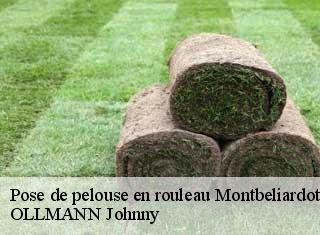 Pose de pelouse en rouleau  montbeliardot-25210 OLLMANN Johnny 