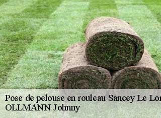 Pose de pelouse en rouleau  sancey-le-long-25430 OLLMANN Johnny 