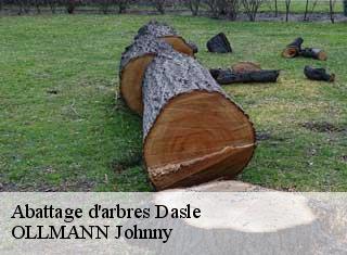 Abattage d'arbres  dasle-25230 OLLMANN Johnny 