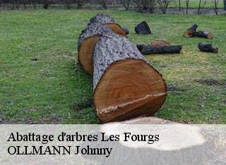 Abattage d'arbres  les-fourgs-25300 OLLMANN Johnny 