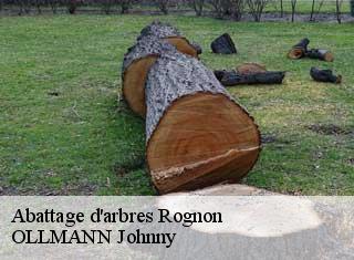 Abattage d'arbres  rognon-25680 OLLMANN Johnny 