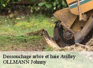 Dessouchage arbre et haie  avilley-25680 OLLMANN Johnny 