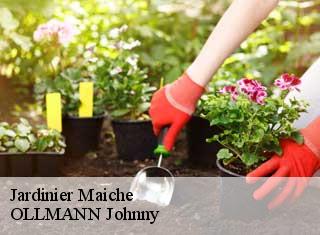 Jardinier  maiche-25120 OLLMANN Johnny 