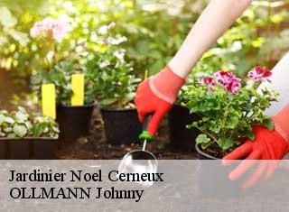 Jardinier  noel-cerneux-25500 OLLMANN Johnny 