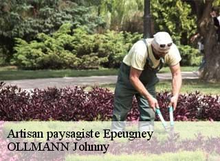 Artisan paysagiste  epeugney-25290 OLLMANN Johnny 