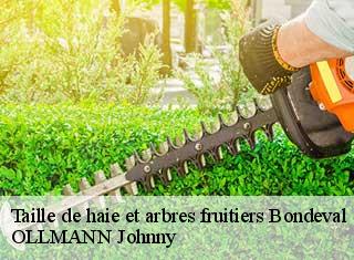 Taille de haie et arbres fruitiers  bondeval-25230 OLLMANN Johnny 